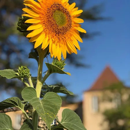 Chateau De Mauhic - 15th Century * Loubedat