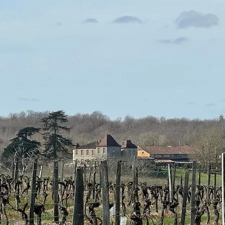 Chateau De Mauhic - 15th Century Bed and breakfast Loubedat