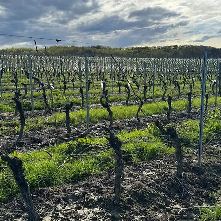 Chateau De Mauhic - 15th Century Frühstückspension Loubedat