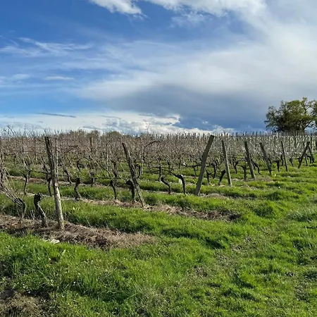 Bed & Breakfast Chateau De Mauhic - 15th Century