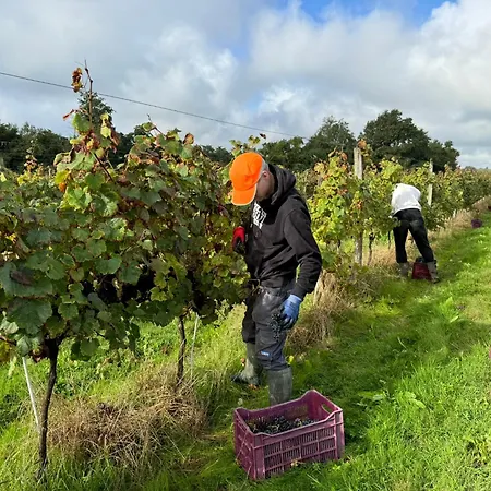 Chateau De Mauhic - 15th Century Bed & Breakfast