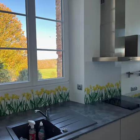 Chateau De Mauhic - 15th Century Bed & Breakfast Loubedat