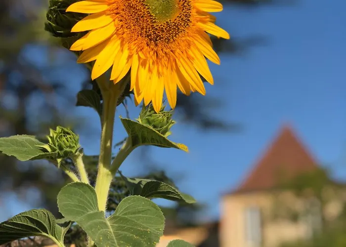 Chateau De Mauhic - 15th Century * Loubedat