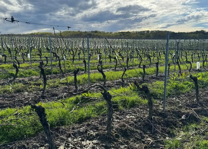Chateau De Mauhic - 15th Century Bed and breakfast Loubedat