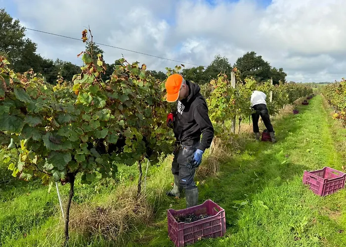 Chateau De Mauhic - 15th Century Bed and breakfast