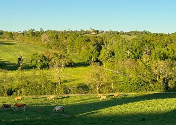 Chateau De Mauhic - 15th Century * Loubedat