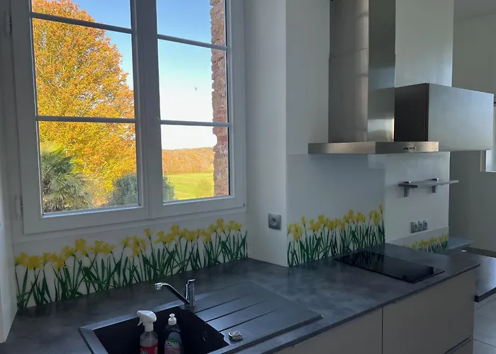 Chateau De Mauhic - 15th Century Bed and breakfast Loubedat